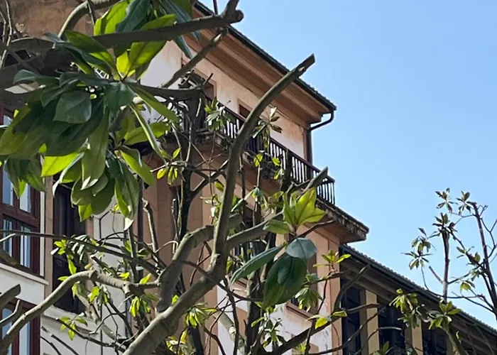 Διαμέρισμα Salsipuedes-la Catedral Οβιέδο